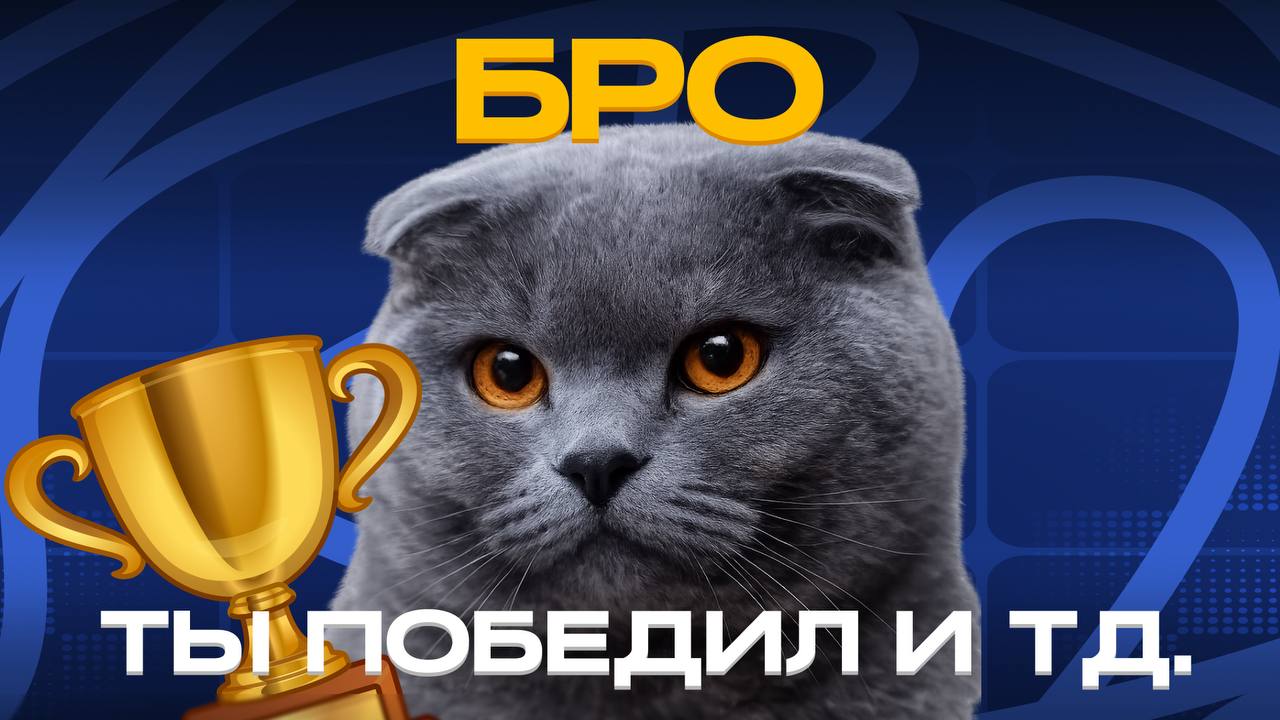 Бро, ты победил